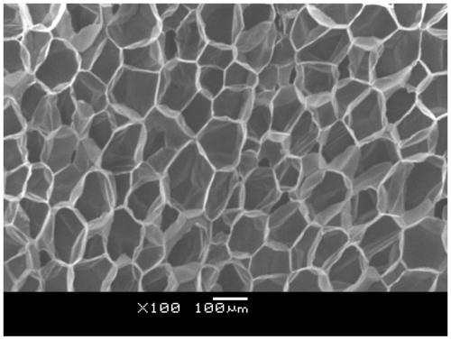 A kind of thermoplastic polymer foam beads and preparation method thereof