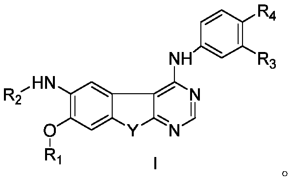 Pyrimidine derivatives as her2 tyrosine kinase inhibitors and applications thereof