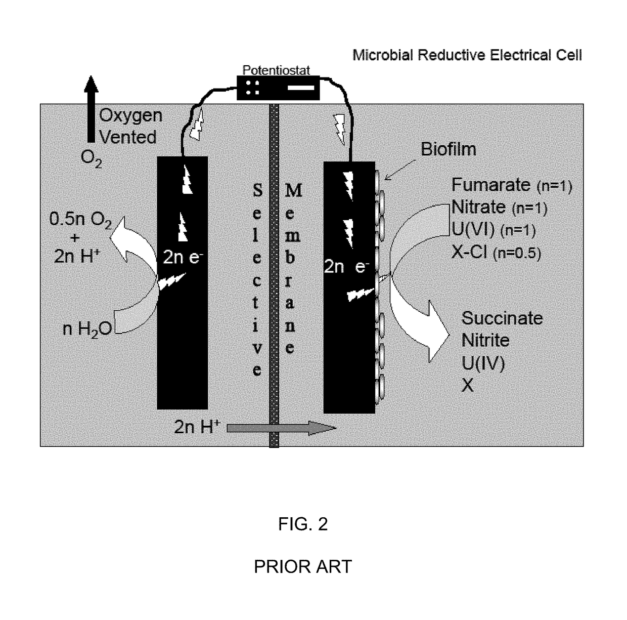 Microbial production of multi-carbon chemicals and fuels from water and carbon dioxide using electric current