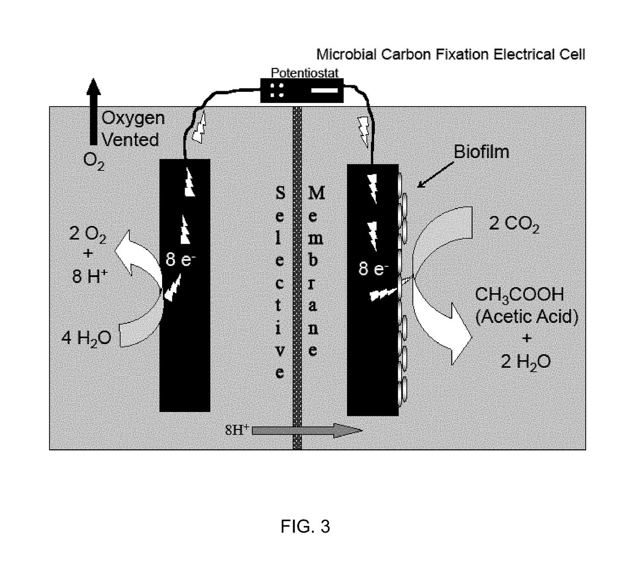 Microbial production of multi-carbon chemicals and fuels from water and carbon dioxide using electric current