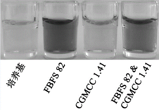 Brown pigment-producing Gluconobacter sp. and application of same to liquid-state fermented vinegar