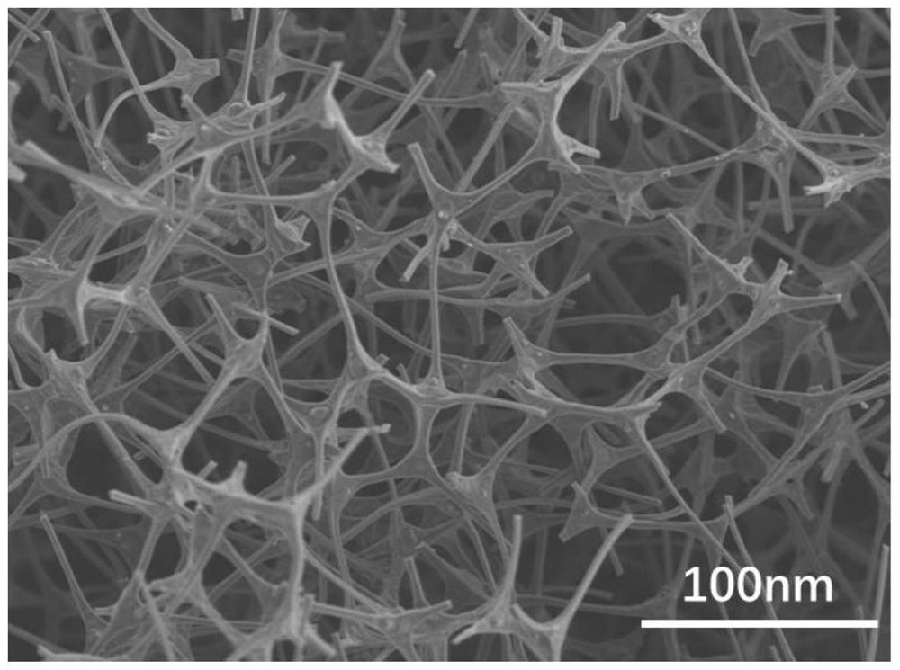 A palladium-containing single-atom monolithic catalyst and its preparation method and application