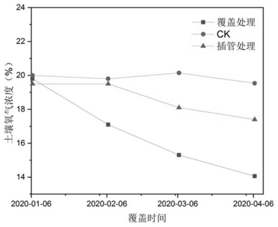 Pipe insertion ventilation method suitable for covering phyllostachys praecox forest in southern China