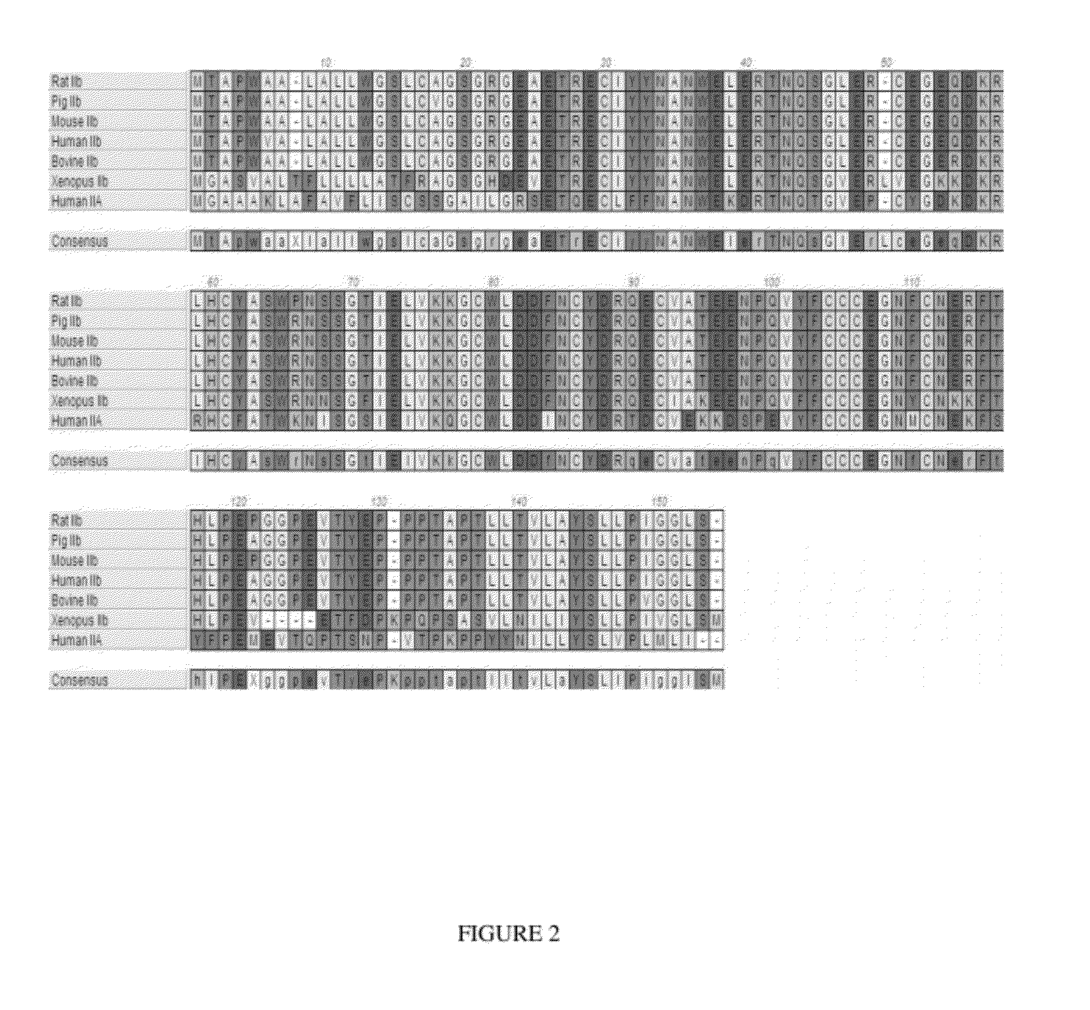 Methods for increasing red blood cell levels and treating anemia using a combination of GDF traps and erythropoietin receptor activators