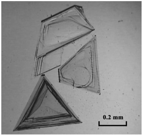Nonlinear optical crystal α-agi3o8 and its preparation and application