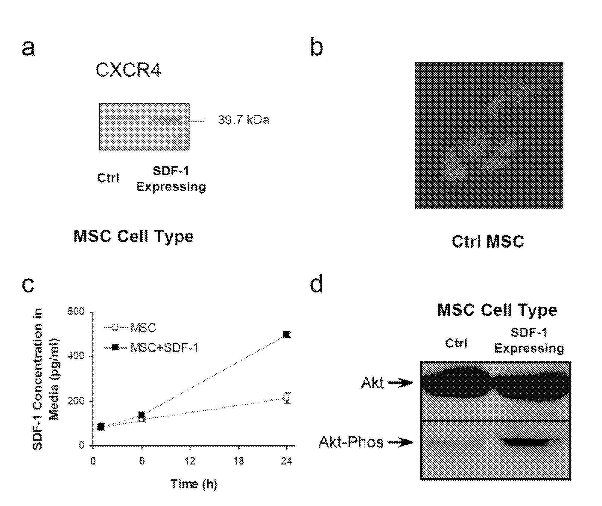 Method of treating ischemic disorders