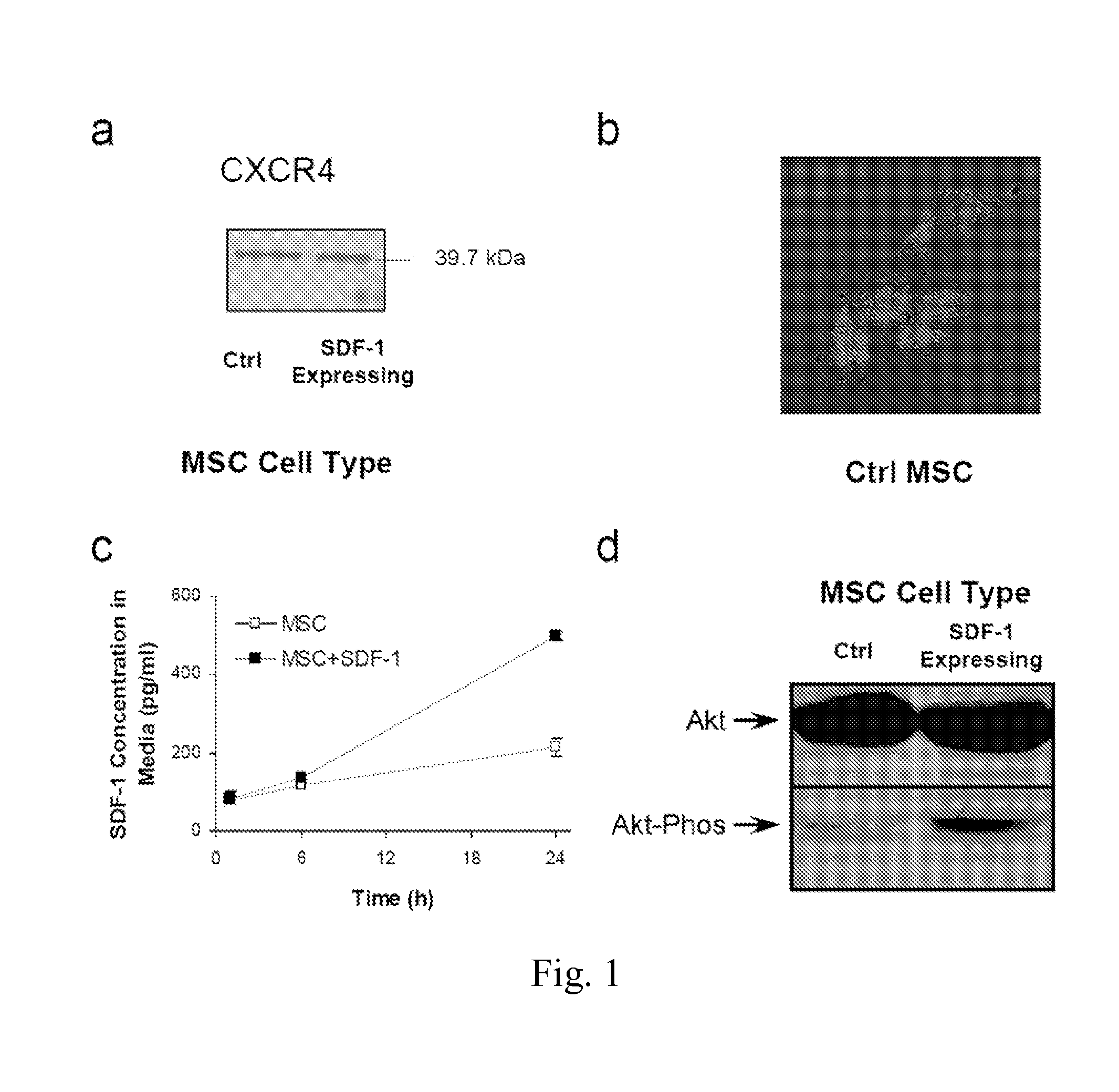 Method of treating ischemic disorders