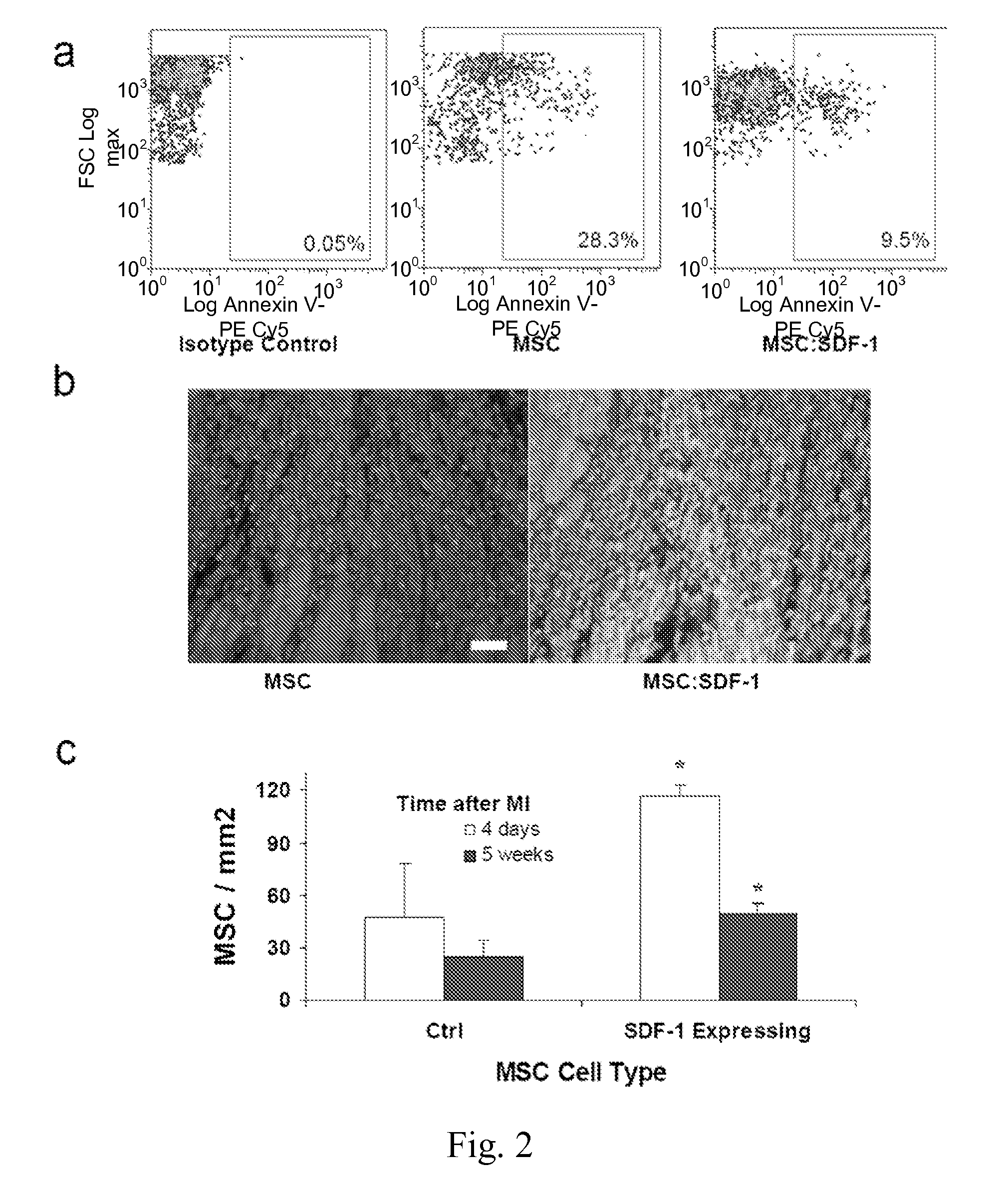 Method of treating ischemic disorders