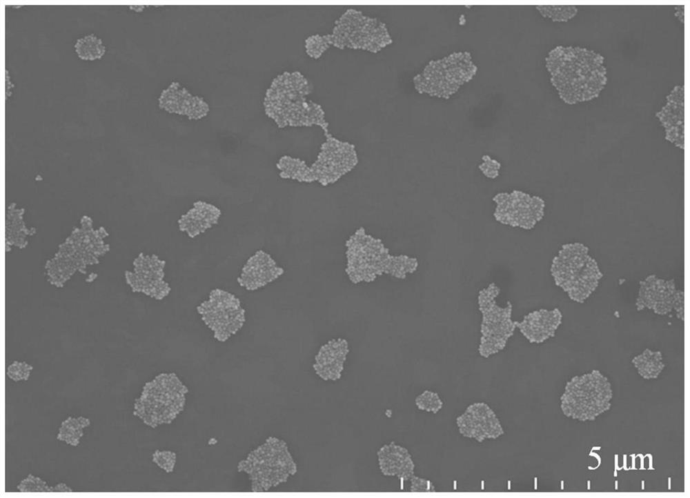 Preparation method of gold nano-particle aggregate material