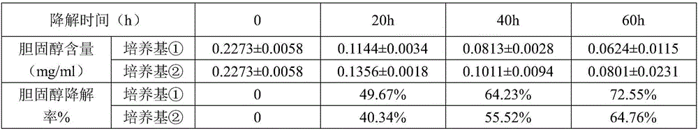 Fungal extract and polysaccharide and probiotic composite function food