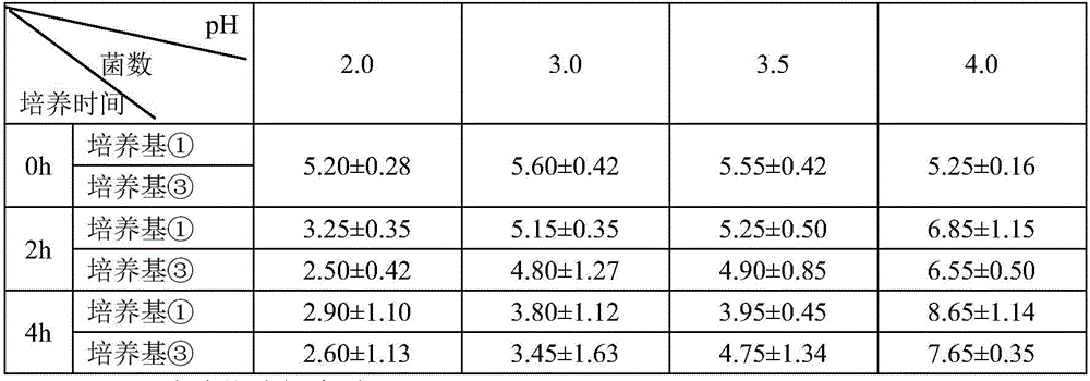 Fungal extract and polysaccharide and probiotic composite function food