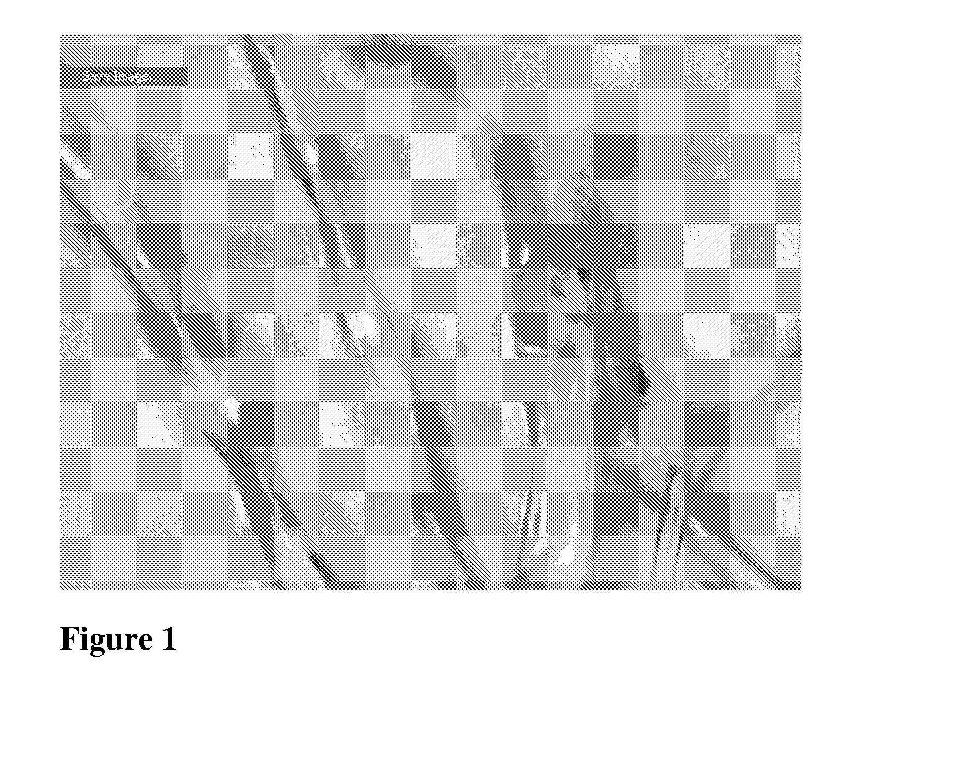 Fibers Including Nanoparticles And A Method Of Producing The Nanoparticles