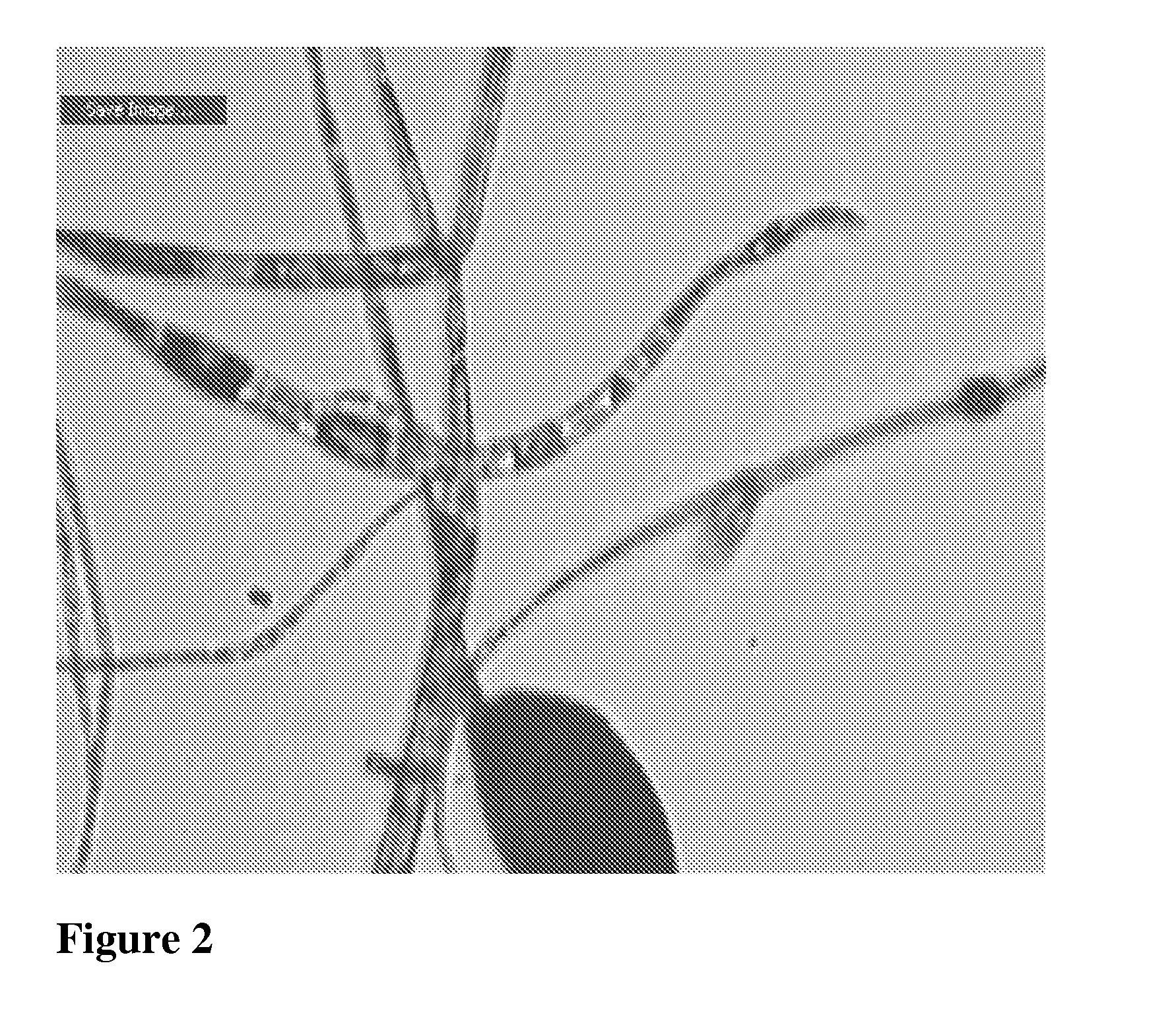 Fibers Including Nanoparticles And A Method Of Producing The Nanoparticles
