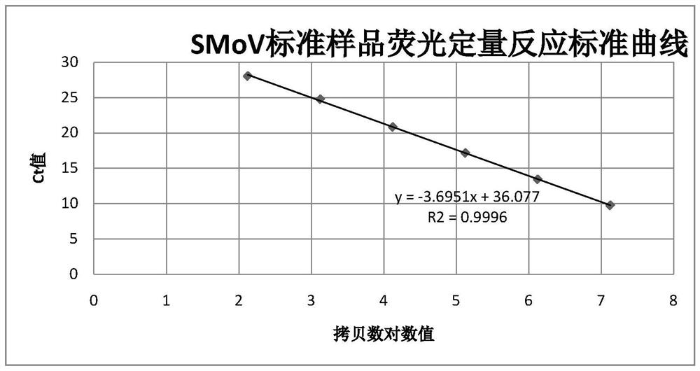 Primer for fluorescent quantitative detection of strawberry mottle virus and application of primer