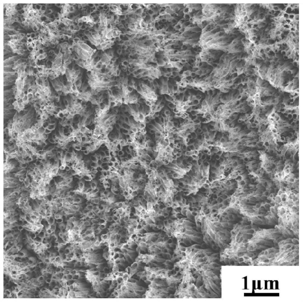 Preparation method of titanium nitride nanowire/nanotube array integrated electrode for simultaneously detecting dopamine, uric acid and ascorbic acid