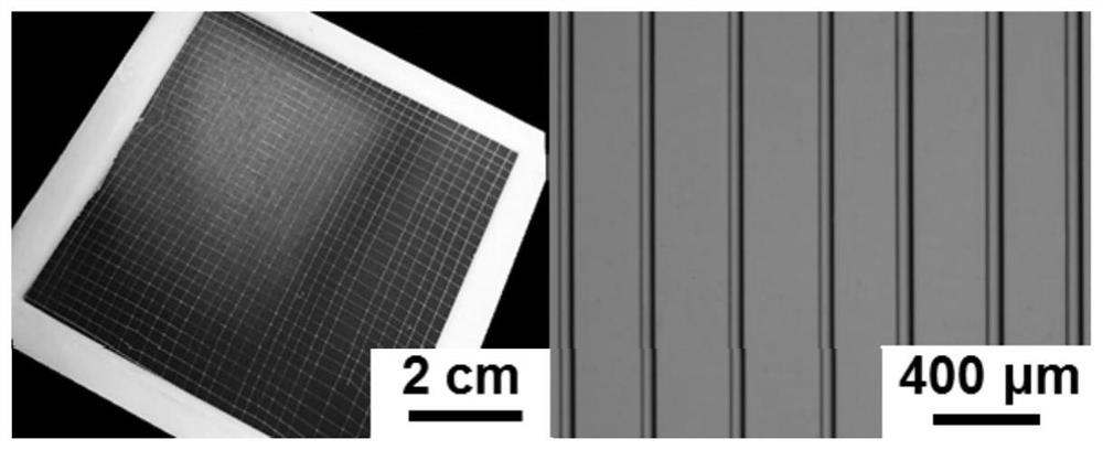 A photoresponsive and antifreeze elastic gel fiber and its preparation method