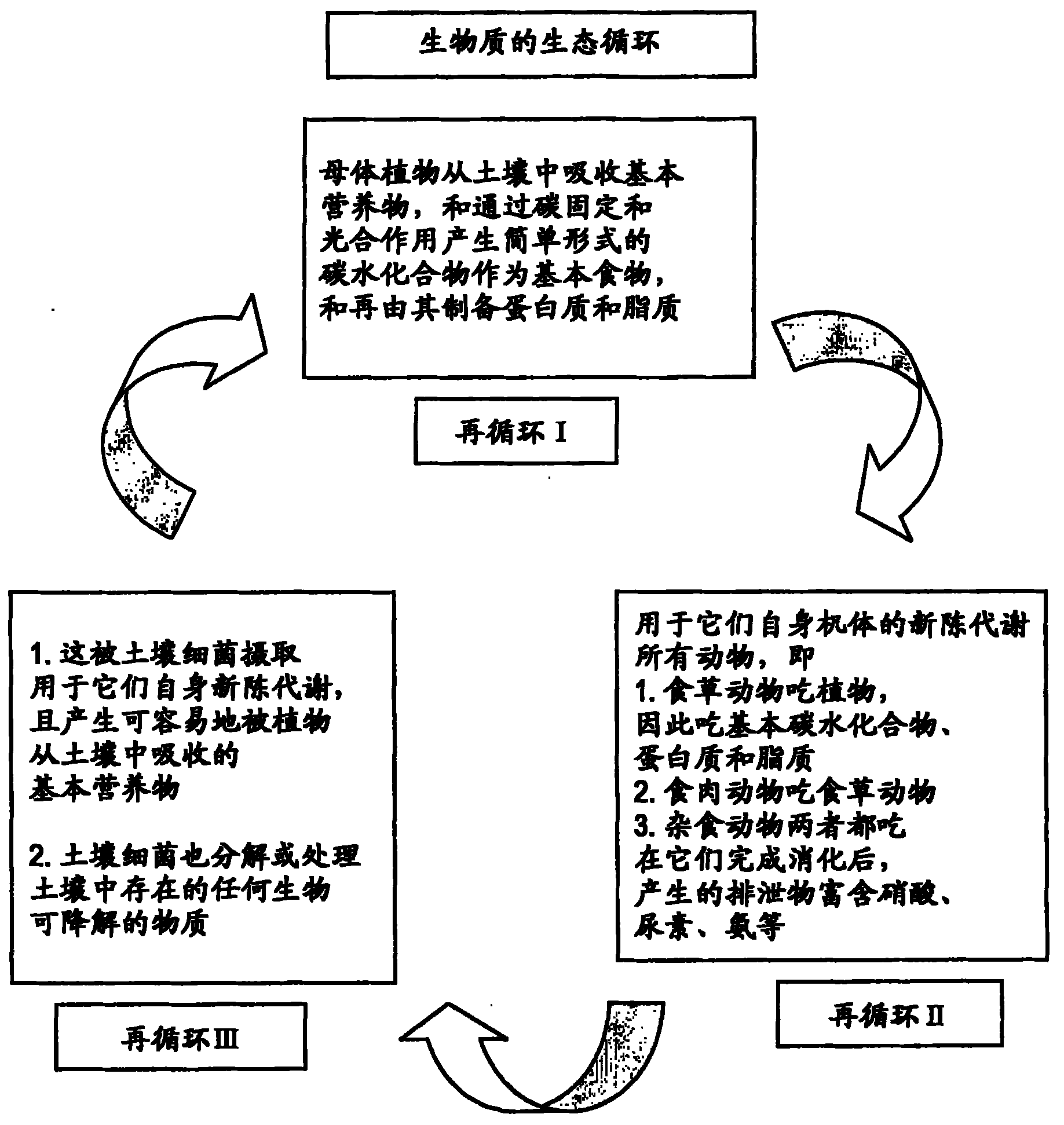 System and method for biological treatment of biodegradable waste including biodegradable municipal solid waste