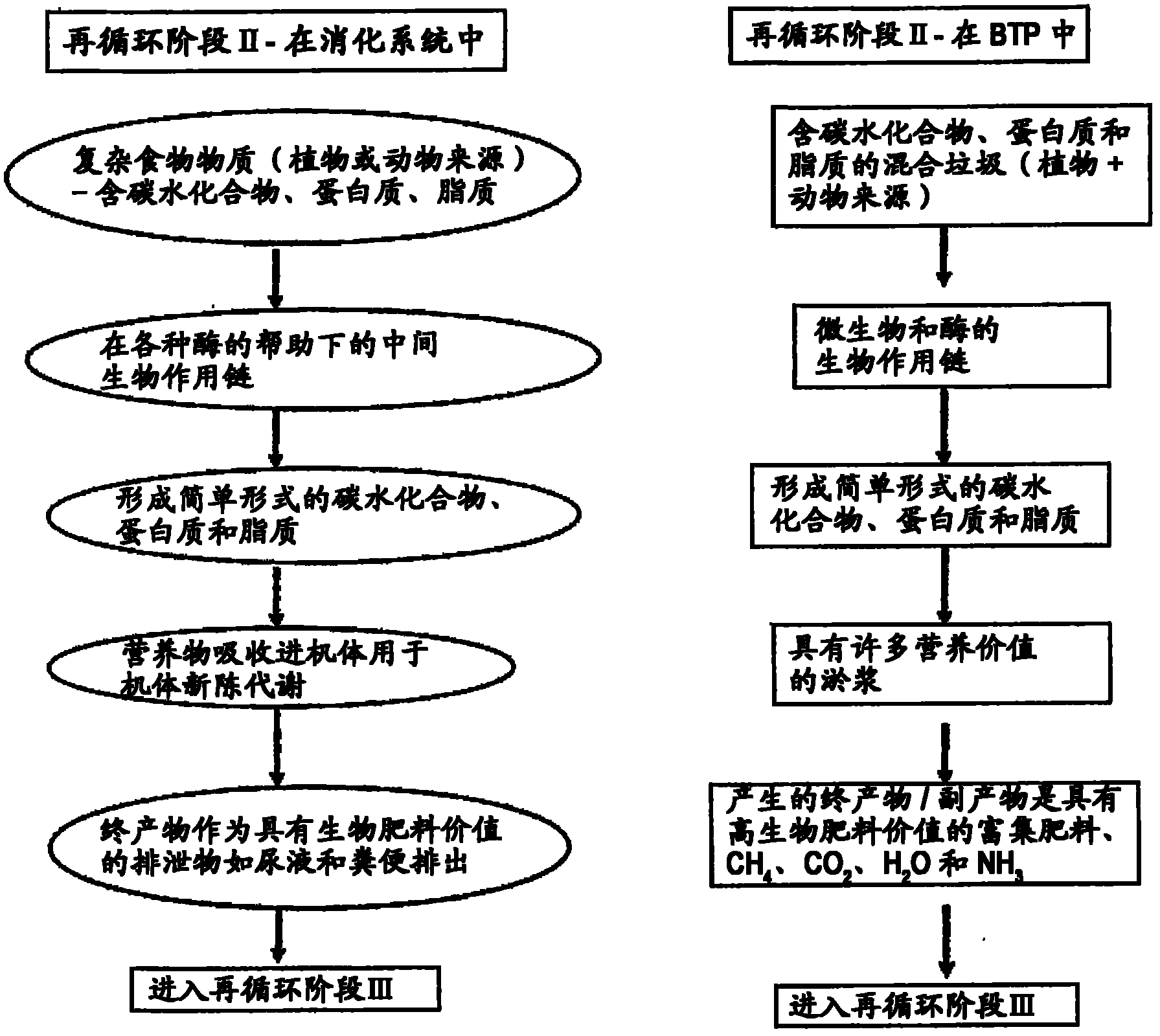 System and method for biological treatment of biodegradable waste including biodegradable municipal solid waste