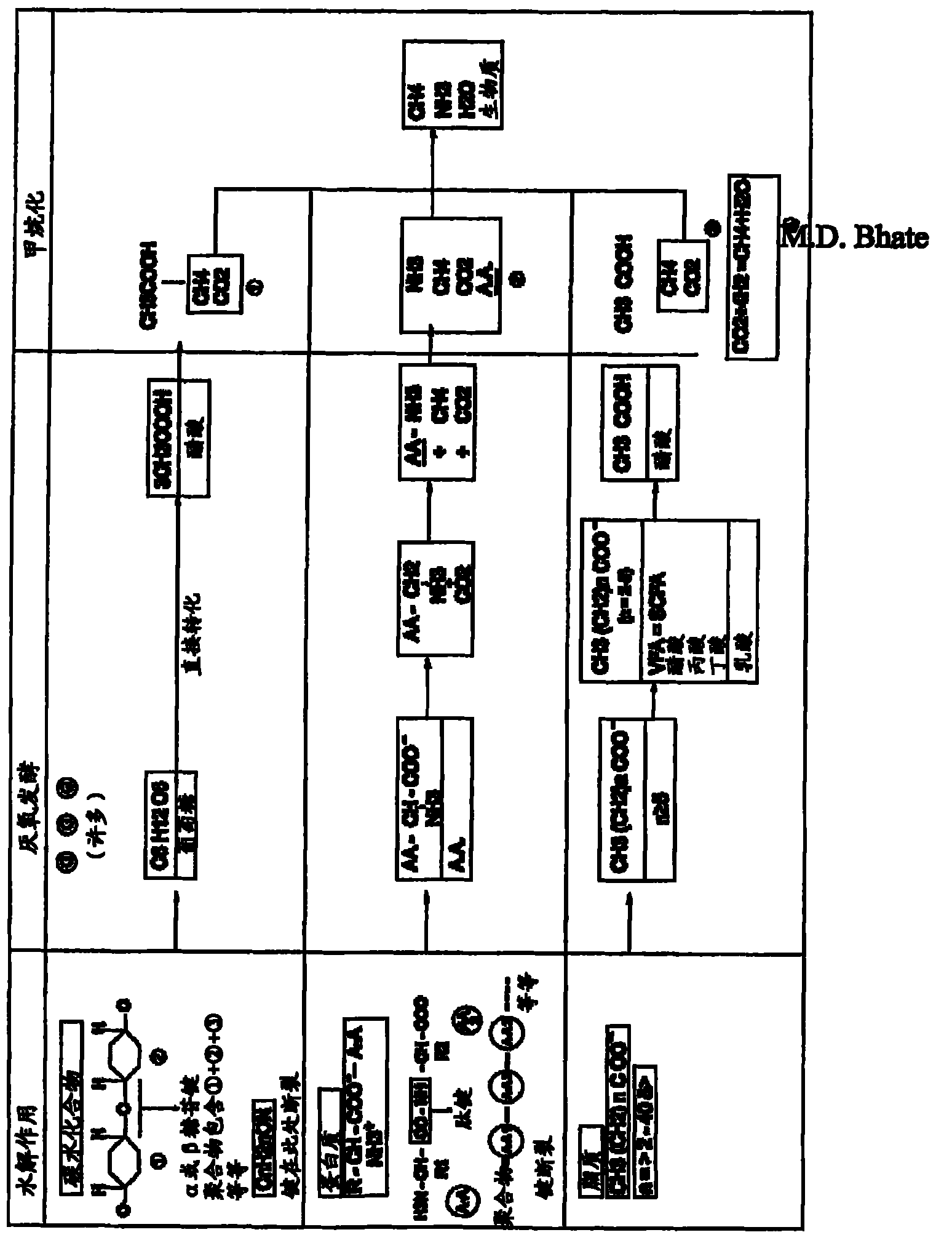 System and method for biological treatment of biodegradable waste including biodegradable municipal solid waste