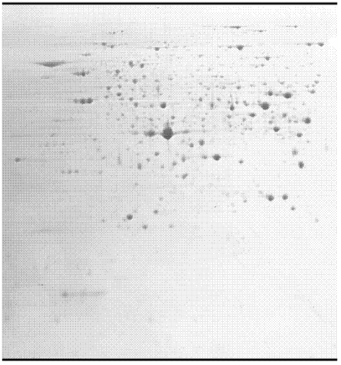 Identification method of intracellular and extracellular proteomes of penicillium during fermentation