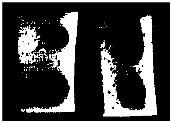 Hydrophobic modification method of melamine sponge and product and application thereof