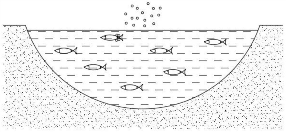 Juvenile fish feed for aquaculture and feeding method
