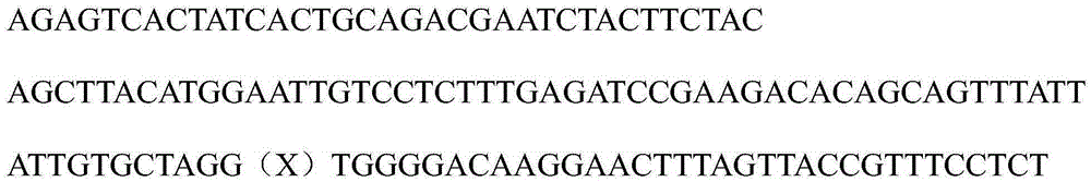 Method for synthesizing controllable humanized antibody library based on combinatorial synthesis technique and application