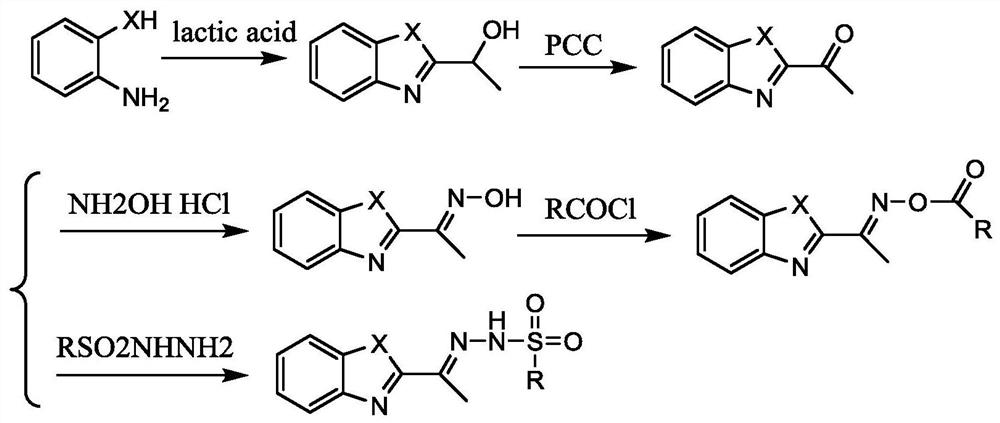 A kind of benzoxazole-2-ethyl oxime derivative, its preparation method and application