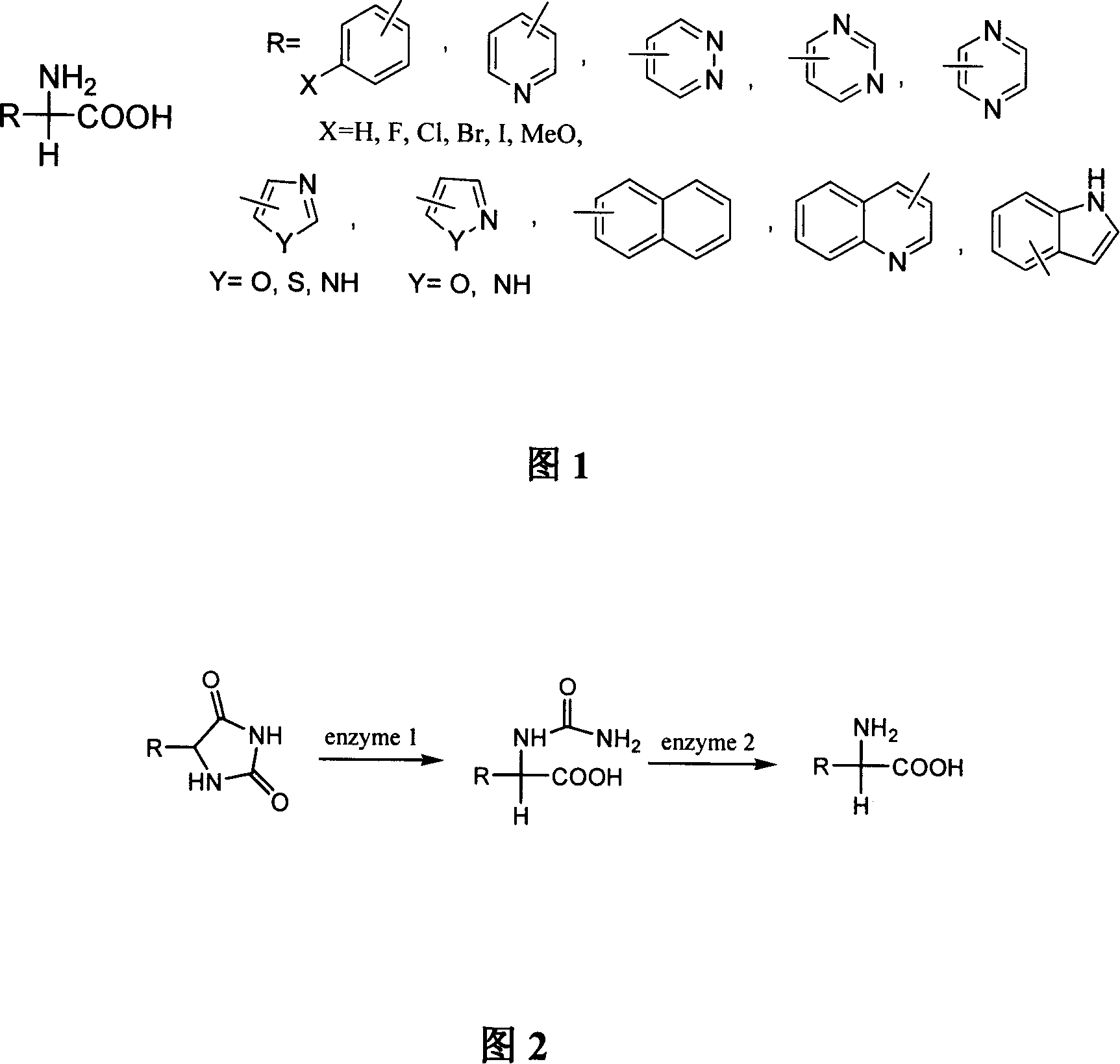 Method for synthesizing D-arylglycine by using heterogeneous enzyme to catalytically hydrolyzing 5-arylhydantoin