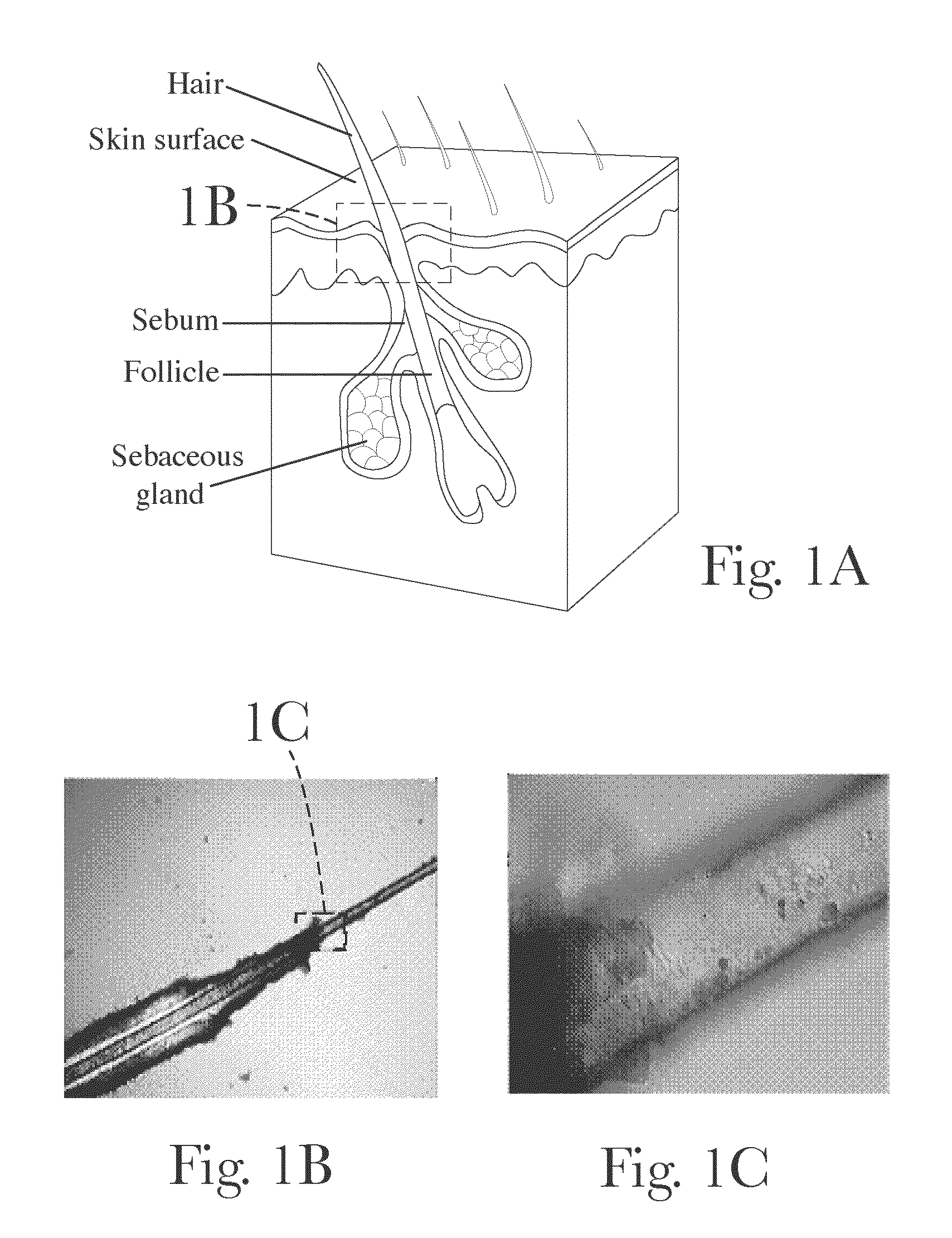 Hair Care Compositions for Preventing Oxidative Damage to Hair, Methods of Use, and Methods of Marketing Such Compositions