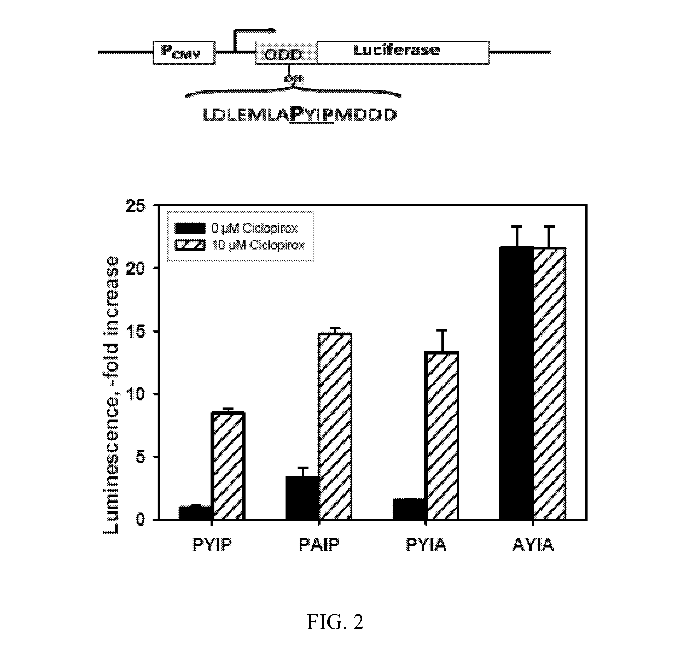 Prolylhydroxylase inhibitors and methods of use