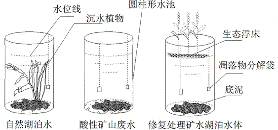In-situ ecological restoration method of lake and reservoir water polluted by acid mine wastewater