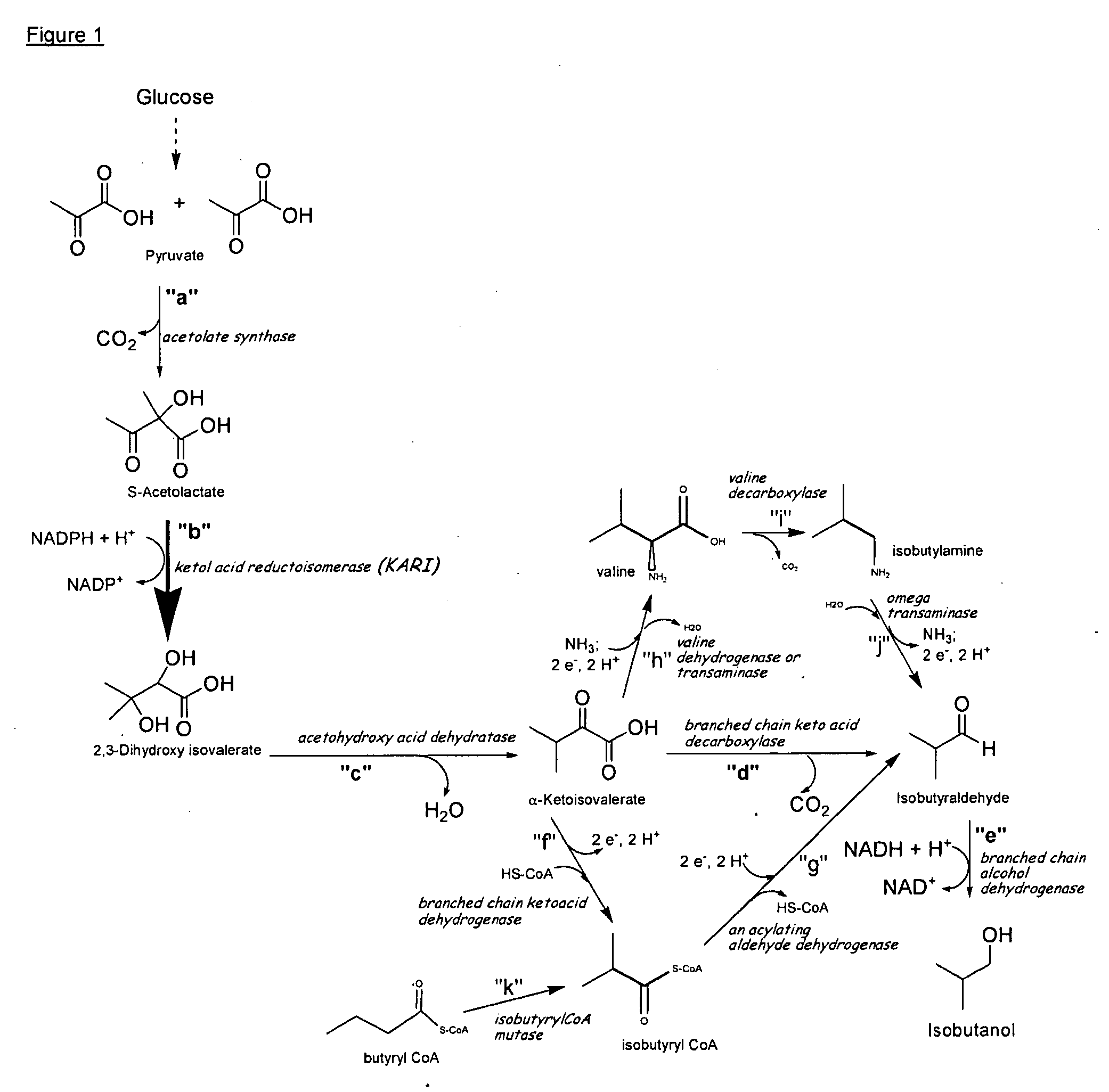 Ketol-acid reductoisomerase using nadh