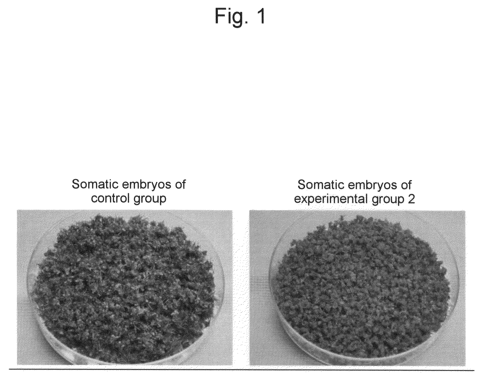 Method for Propagation of Plant