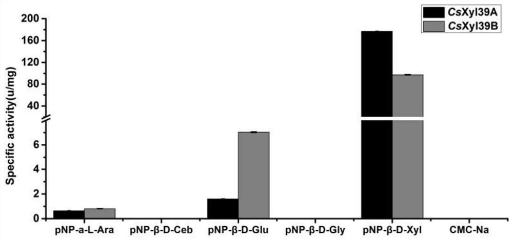 β-Xylosidase and its application