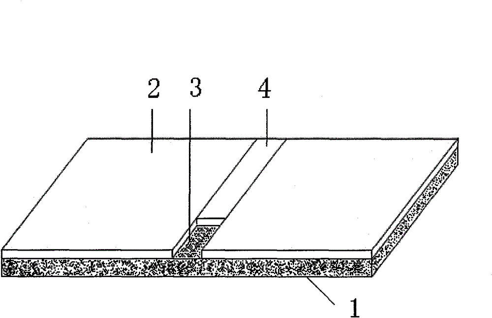 Ceramic tile paving method