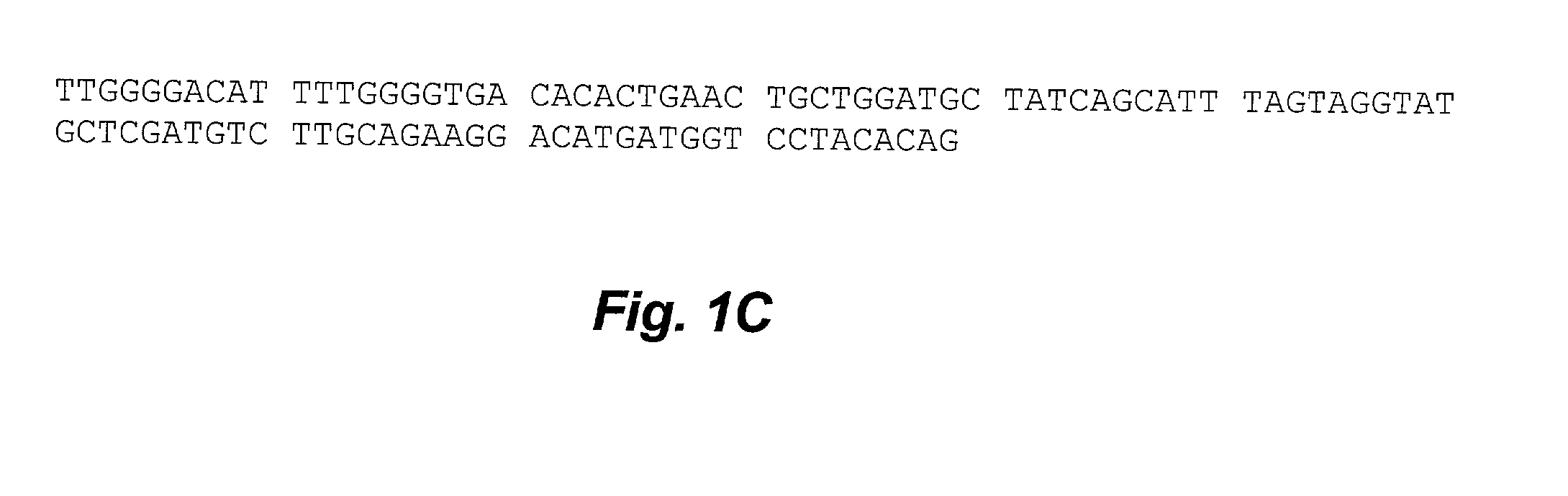 Methods and use of motoneuronotrophic factors