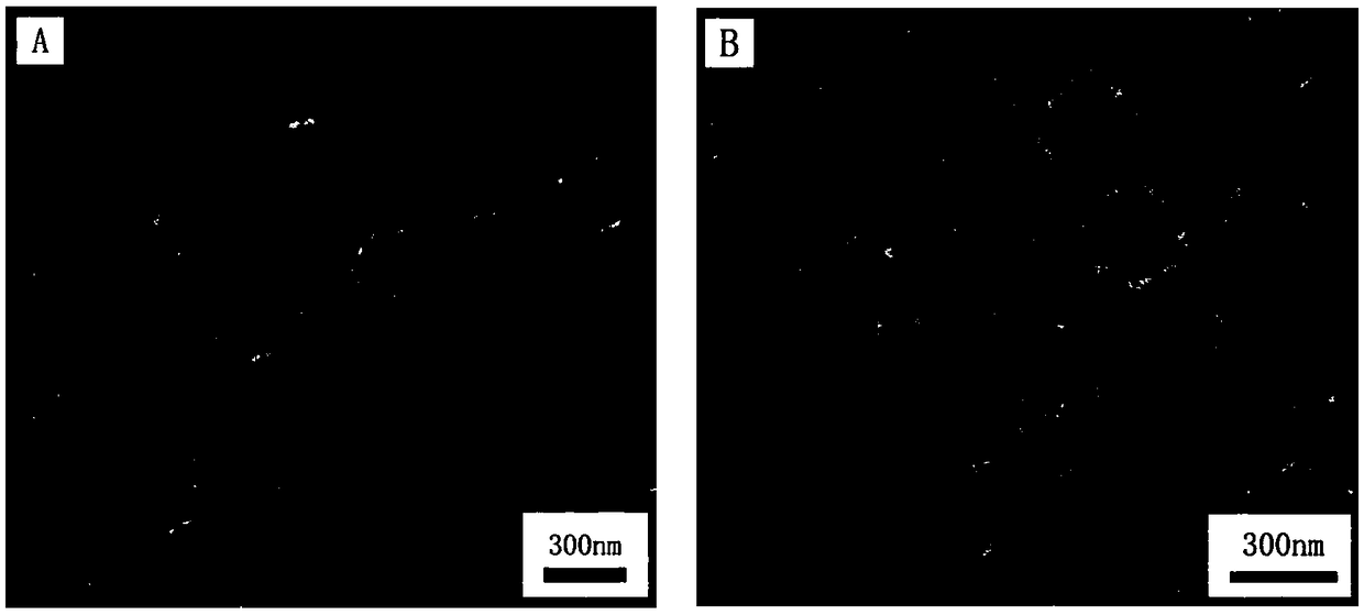 Lignin and histidine drug-loaded nanoparticle with pH response and preparation method of lignin and histidine drug-loaded nanoparticle