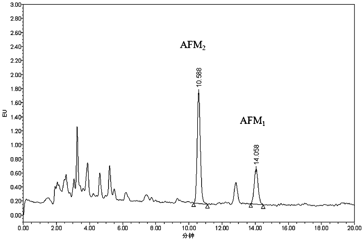 Special purification column for aflatoxin M group and application