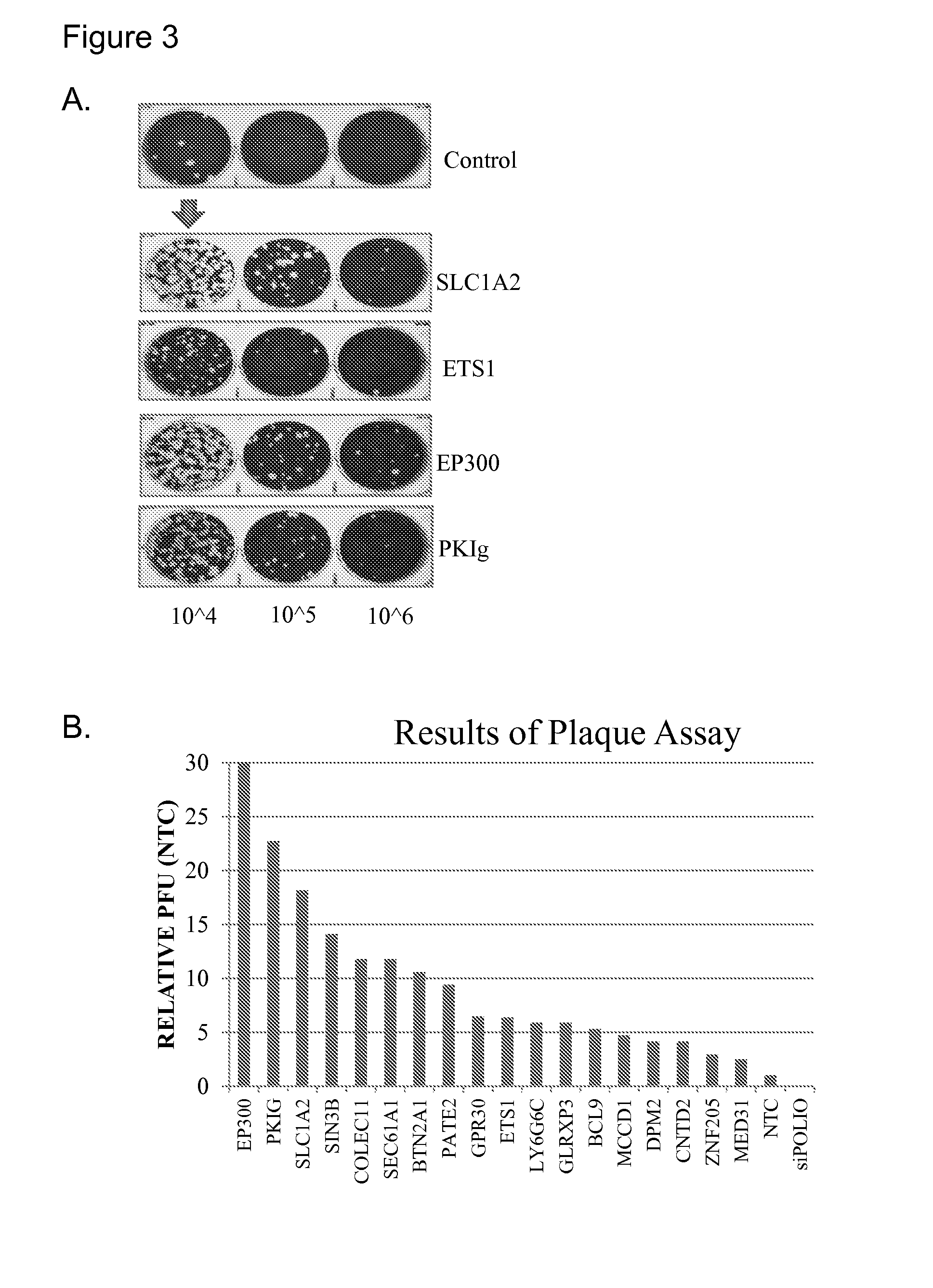 Cell lines for virus production and methods of use