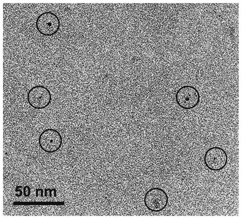 Method for preparing ruthenium nanoparticles without container