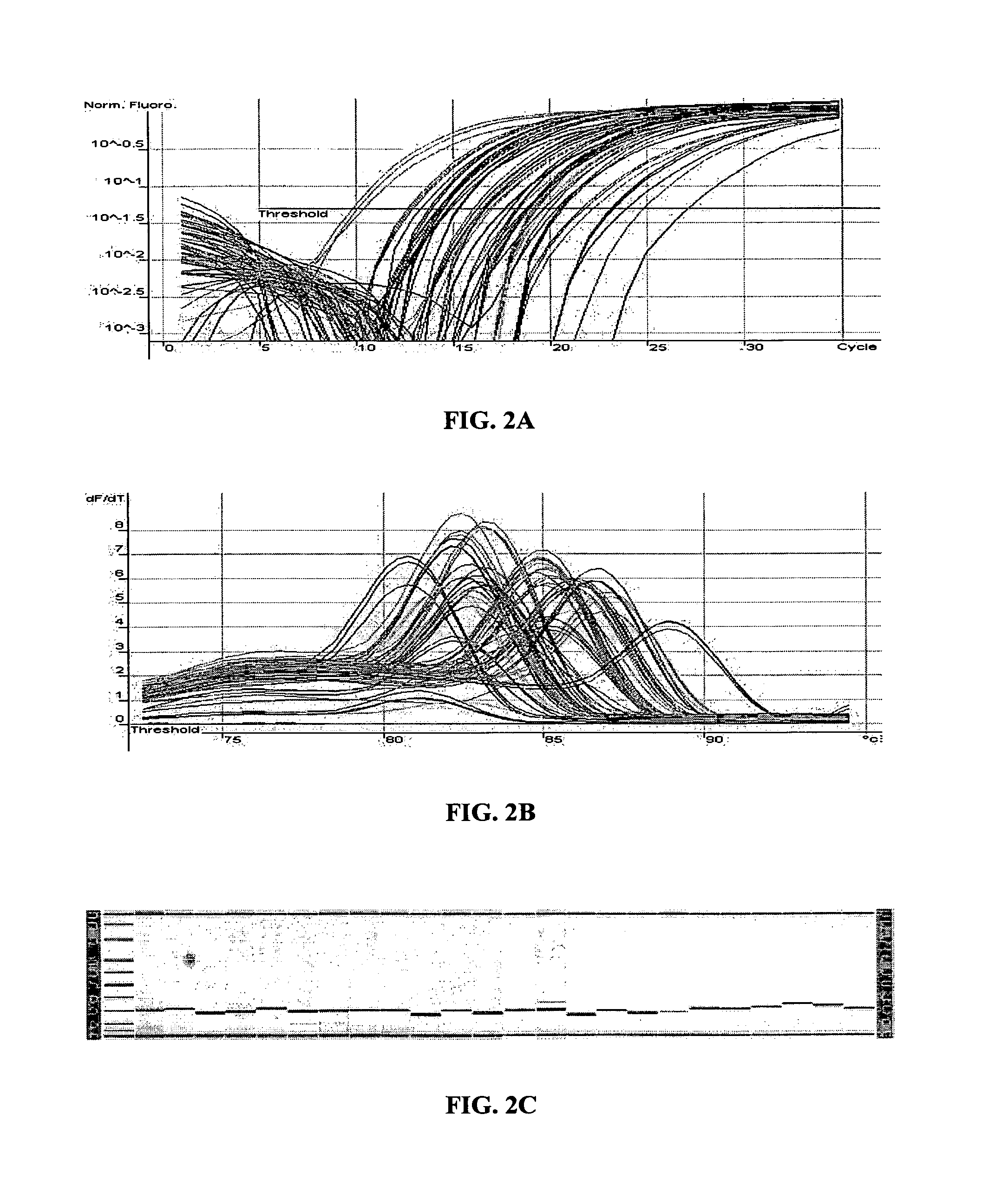 Methods for the amplification, quantitation and identification of nucleic