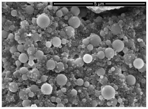 Method for preparing coix seed oil composite nanoparticles