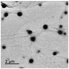 A kind of styrene cross-linked polymer particles loaded with fat-soluble sunscreen and preparation method thereof