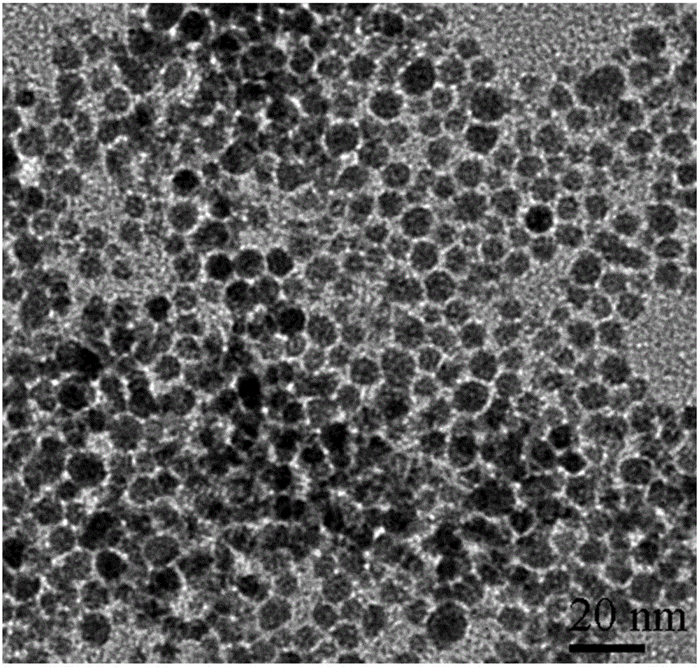 Photoelectric immune sensor based on water-soluble Cd-Ag-Te quantum dot/nano-gold composite materials