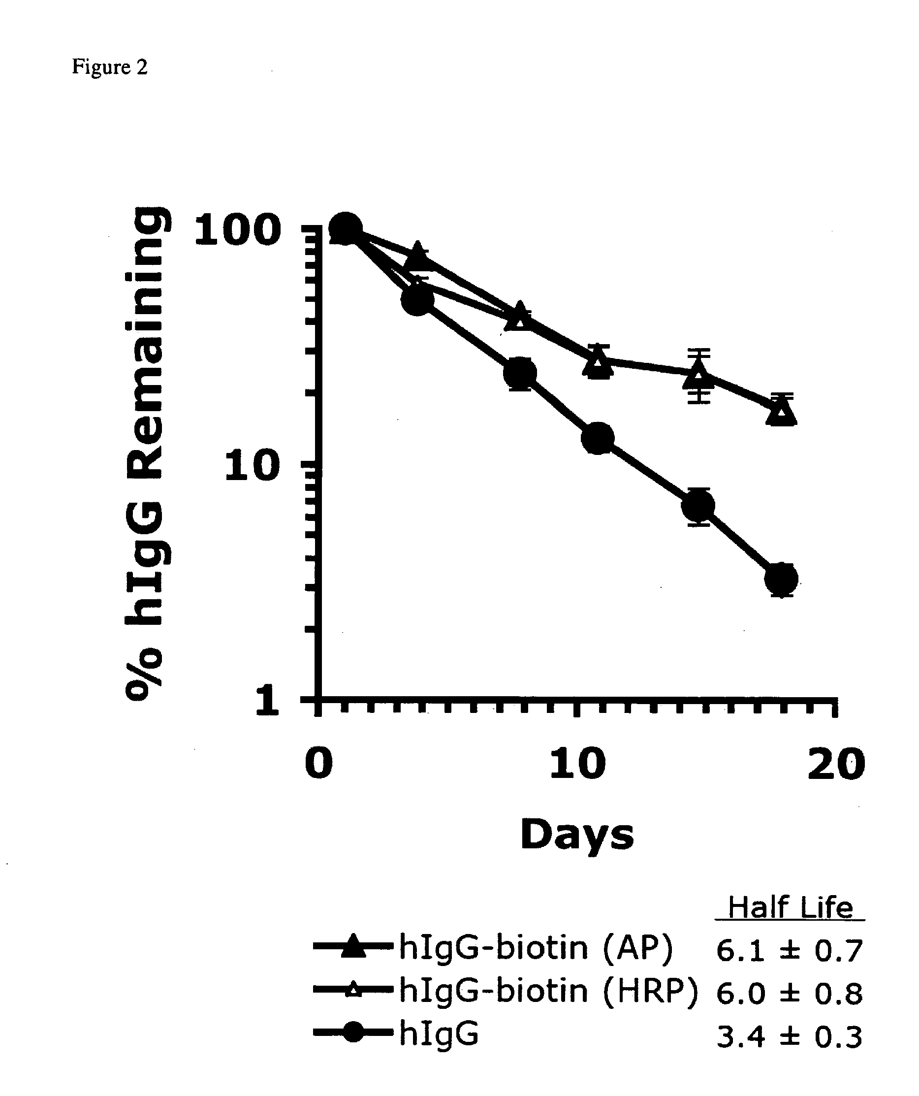 Antibodies and fc fusion protein modifications with enhanced persistence or pharmacokinetic stability in vivo and methods of use thereof