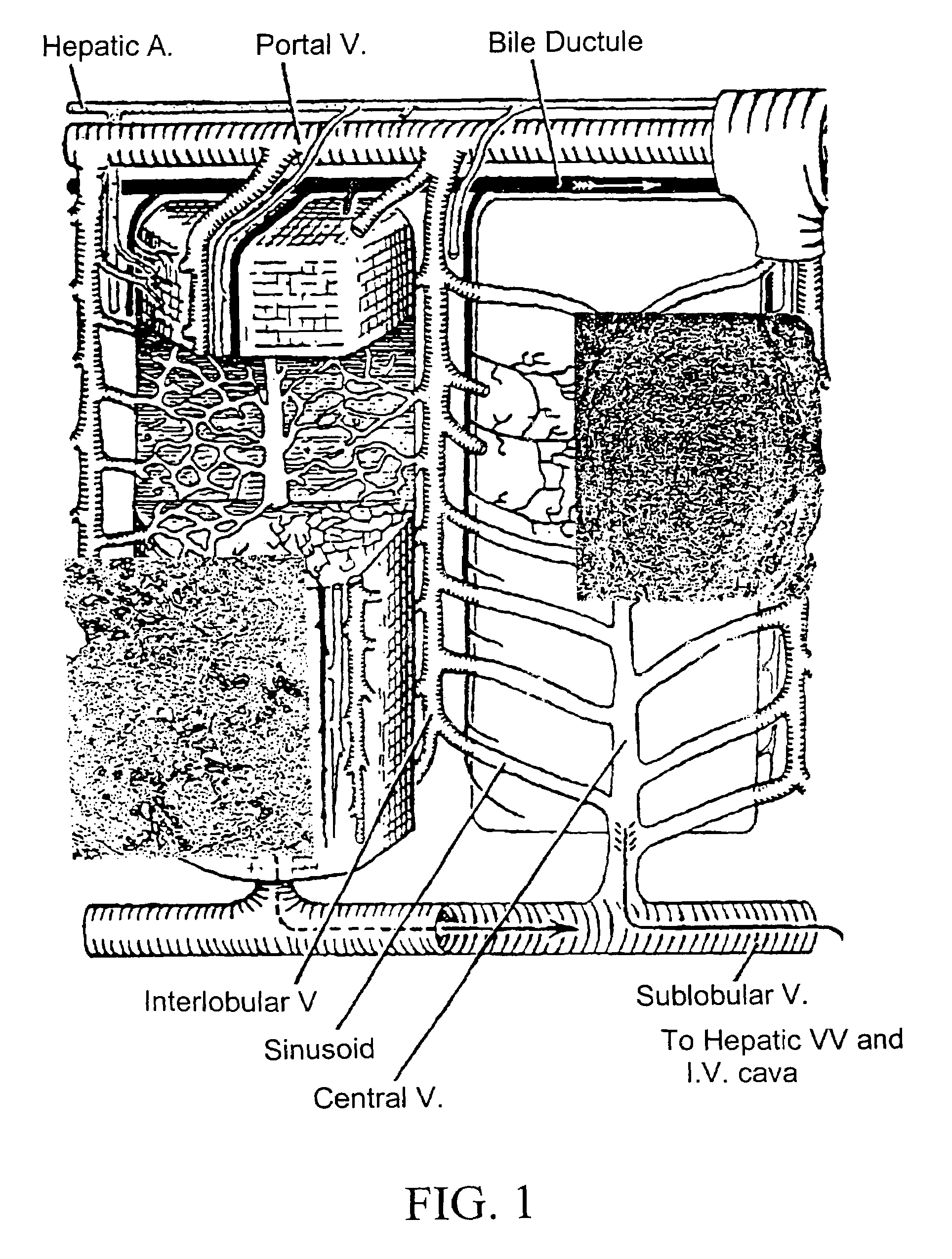 Therapeutic compositions for treatment of a damaged tissue