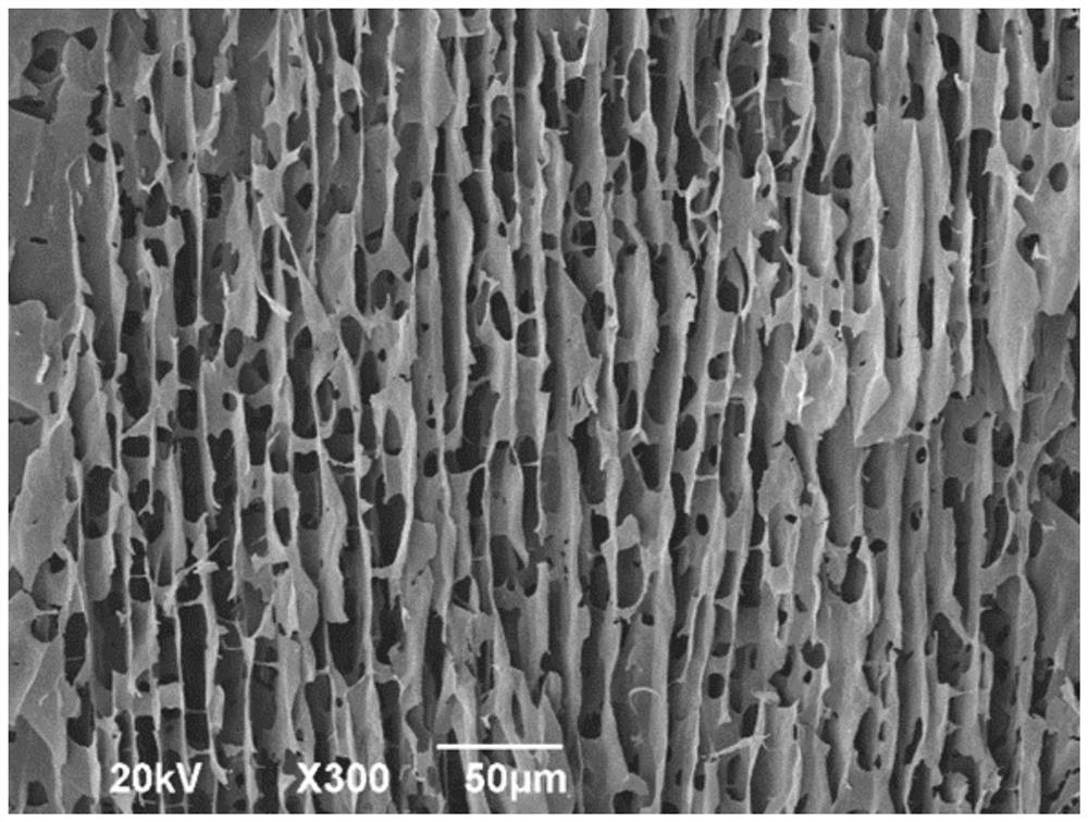 A kind of ultra-light graphene/multi-wall carbon nanotube composite wave absorbing foam and preparation method thereof