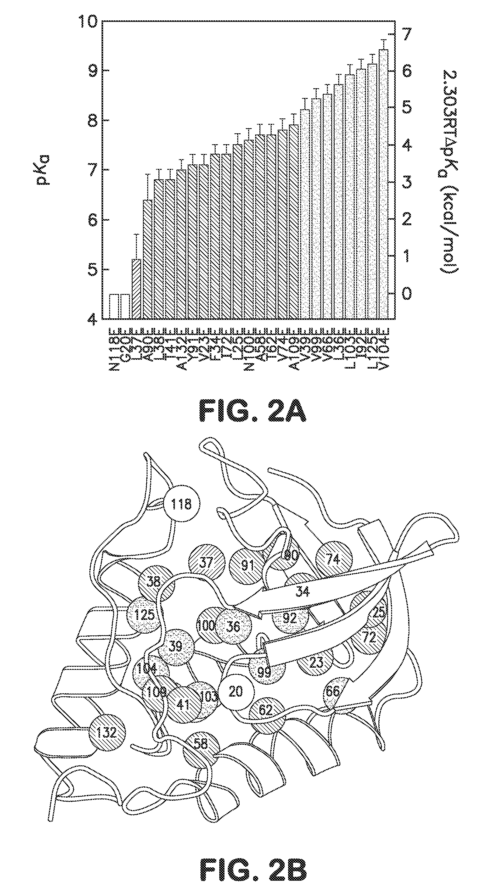 Method for Incorporating Internal Polar and Ionizable Groups in Proteins