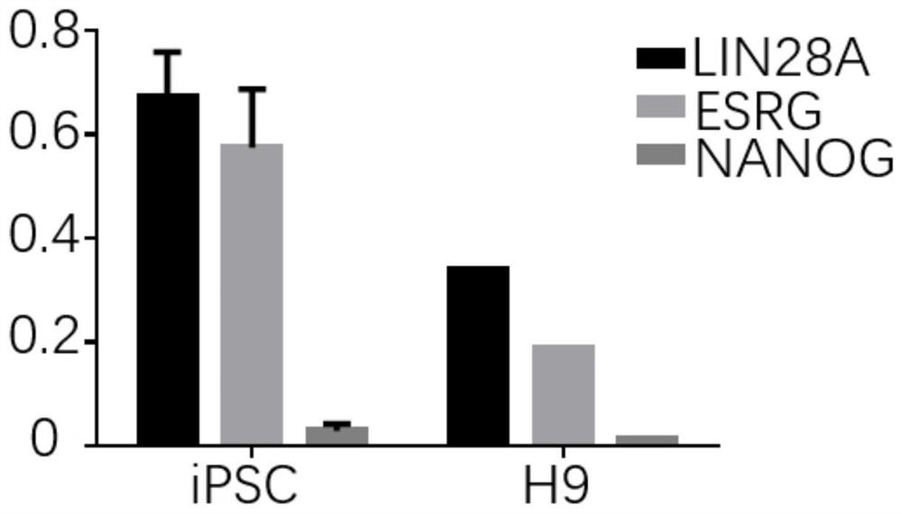 iPSC residue detection method using ESRG gene as universal marker gene